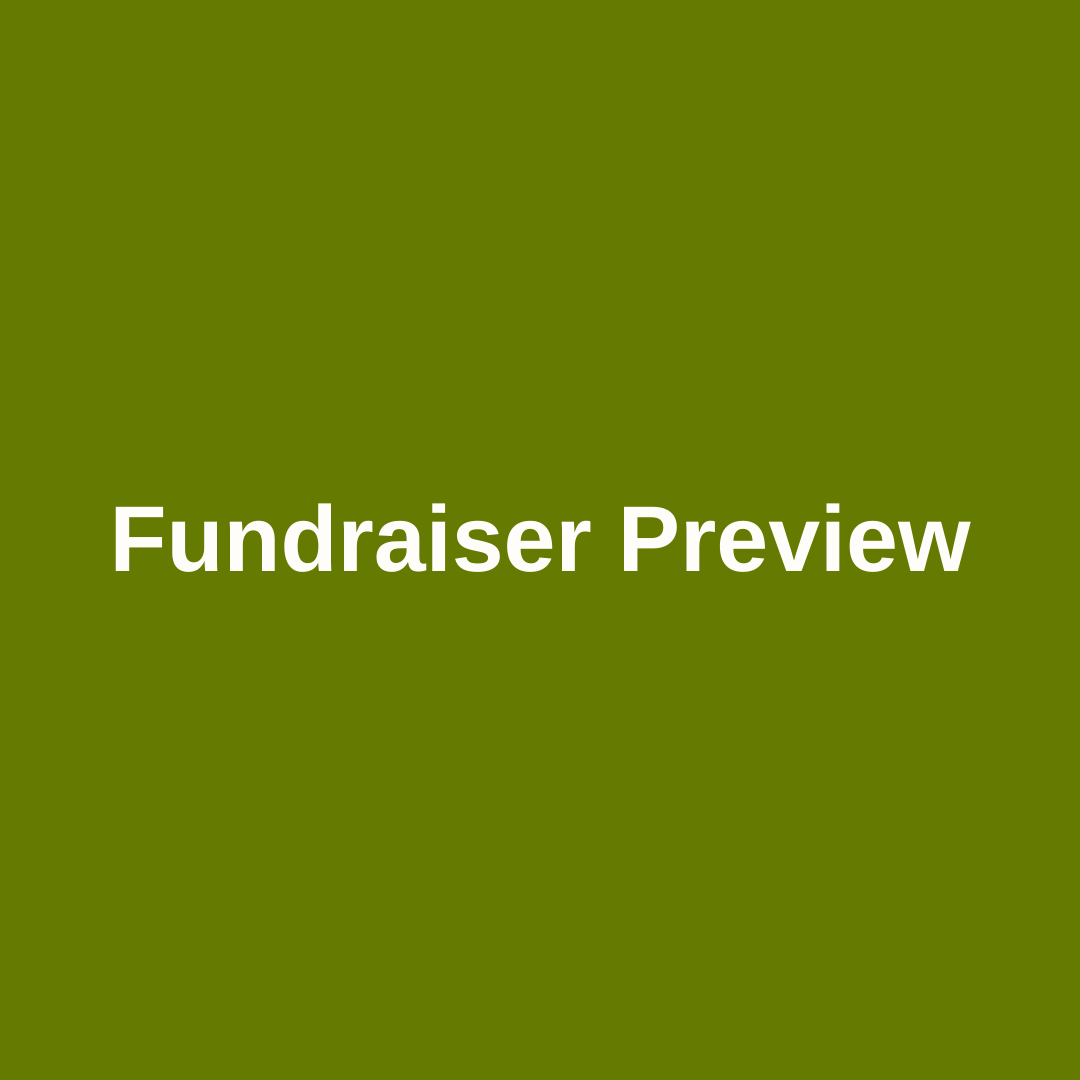 Fundraiser Preview
